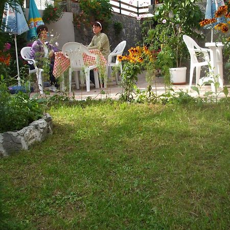 Vila Ana-Maria Sinaia Exteriér fotografie