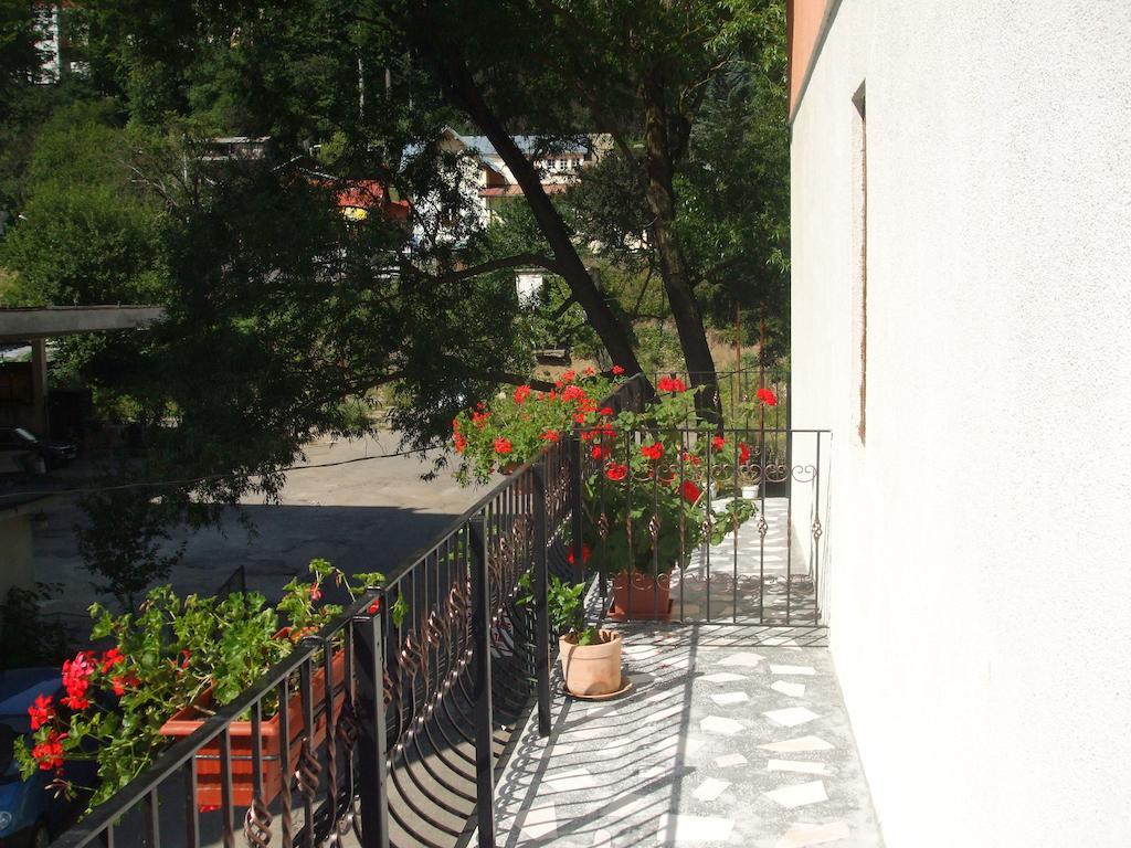 Vila Ana-Maria Sinaia Pokoj fotografie