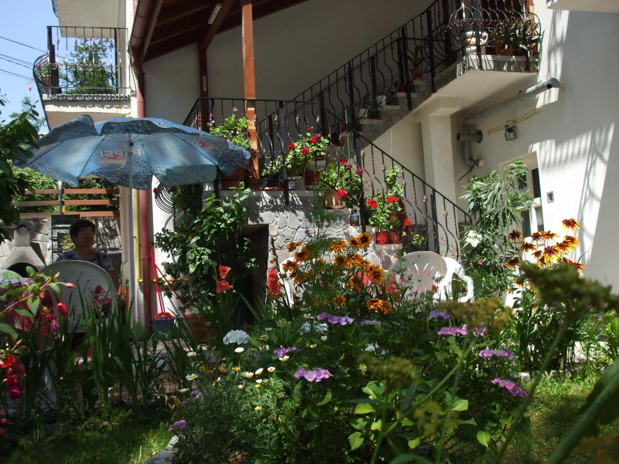 Vila Ana-Maria Sinaia Exteriér fotografie