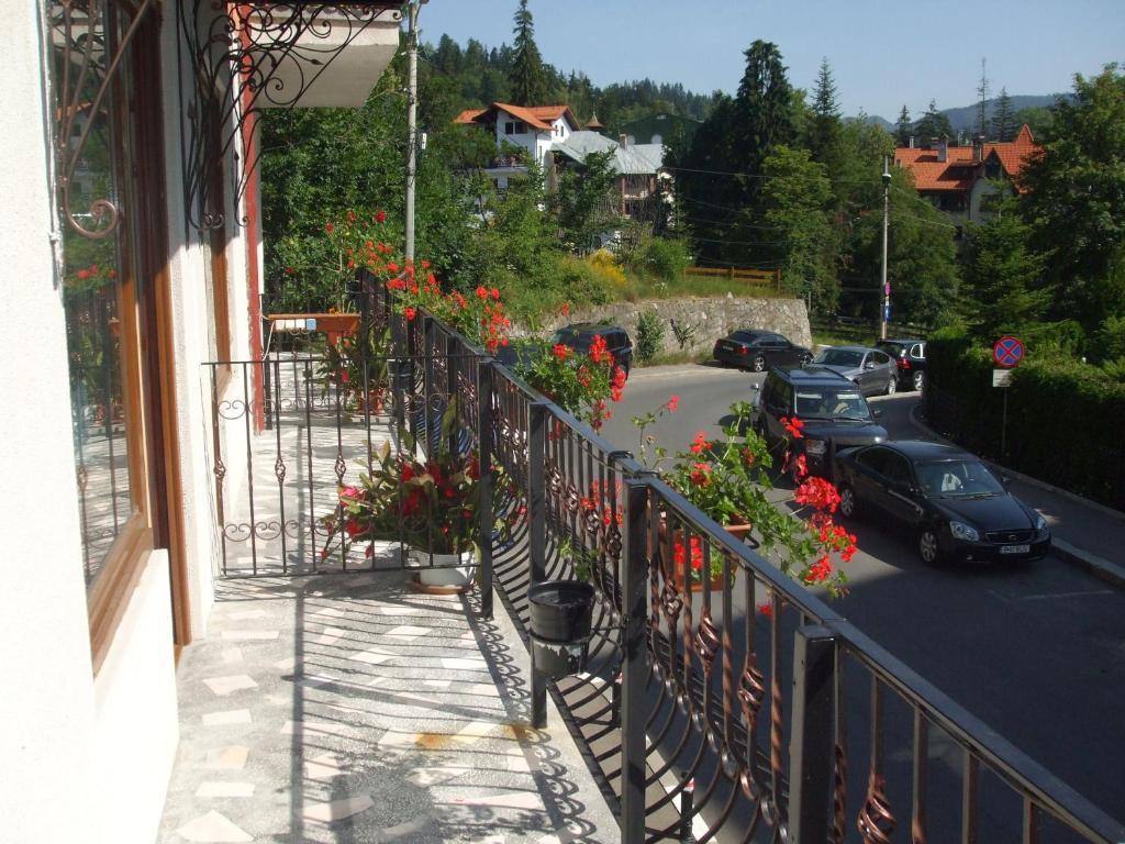 Vila Ana-Maria Sinaia Exteriér fotografie
